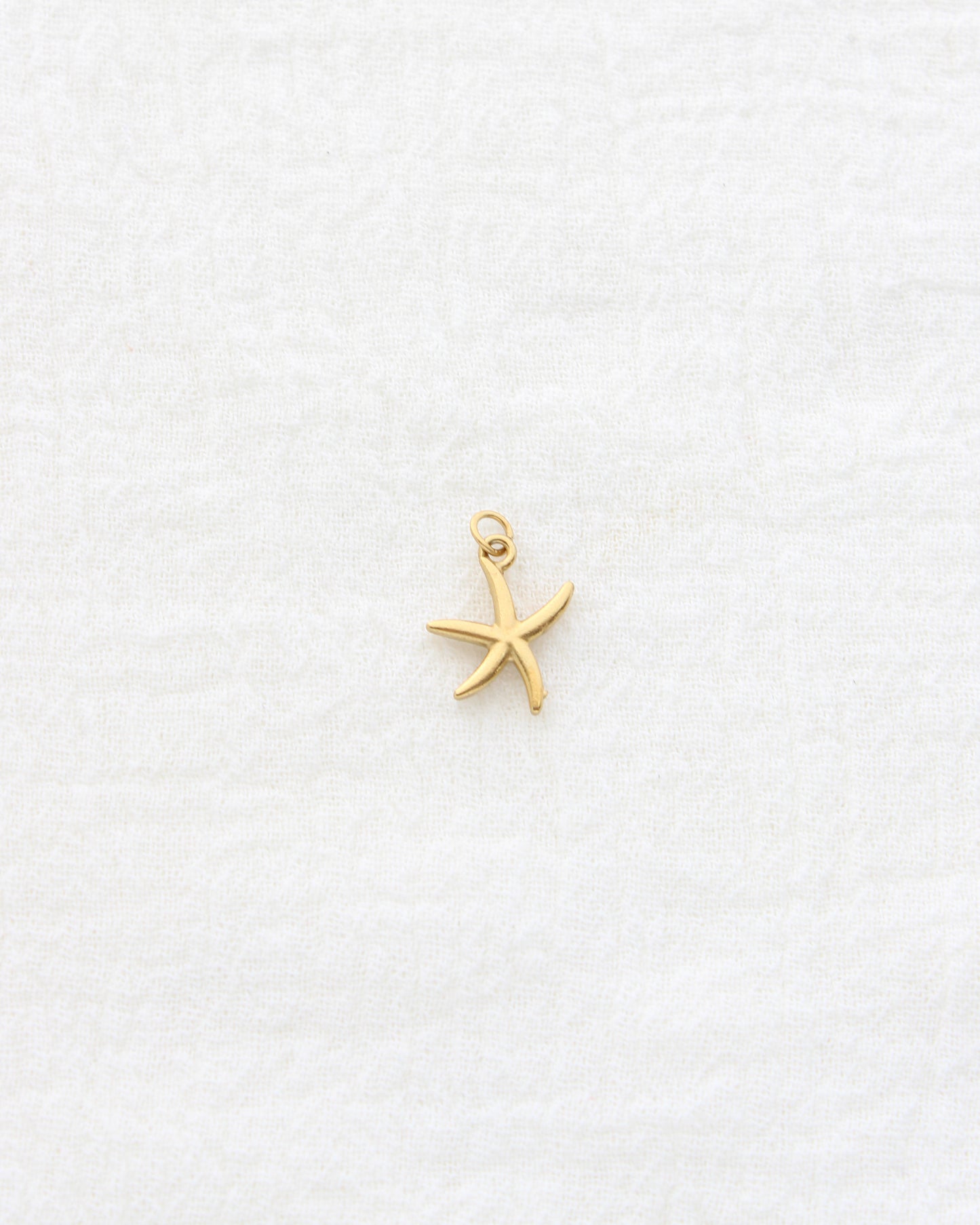 15mm Starfish CZ PVD Charm, CH455