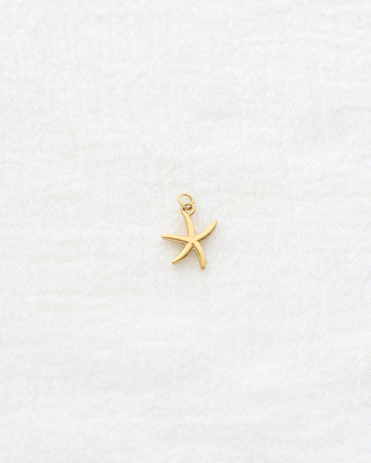 15mm Starfish CZ PVD Charm, CH455