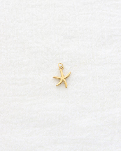 15mm Starfish CZ PVD Charm, CH455