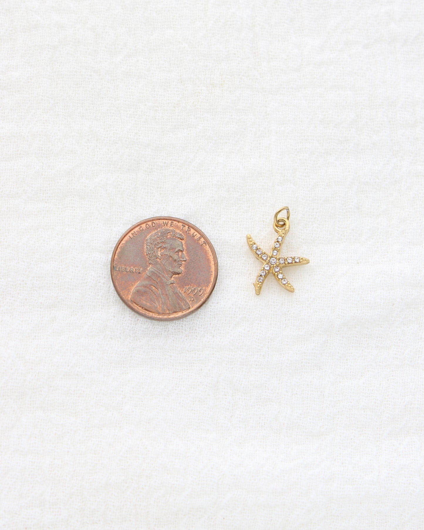 15mm Starfish CZ PVD Charm, CH455