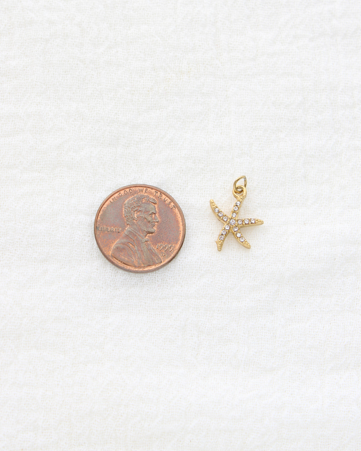 15mm Starfish CZ PVD Charm, CH455
