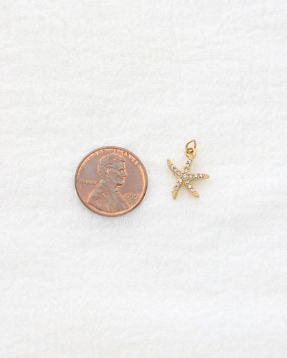 15mm Starfish CZ PVD Charm, CH455