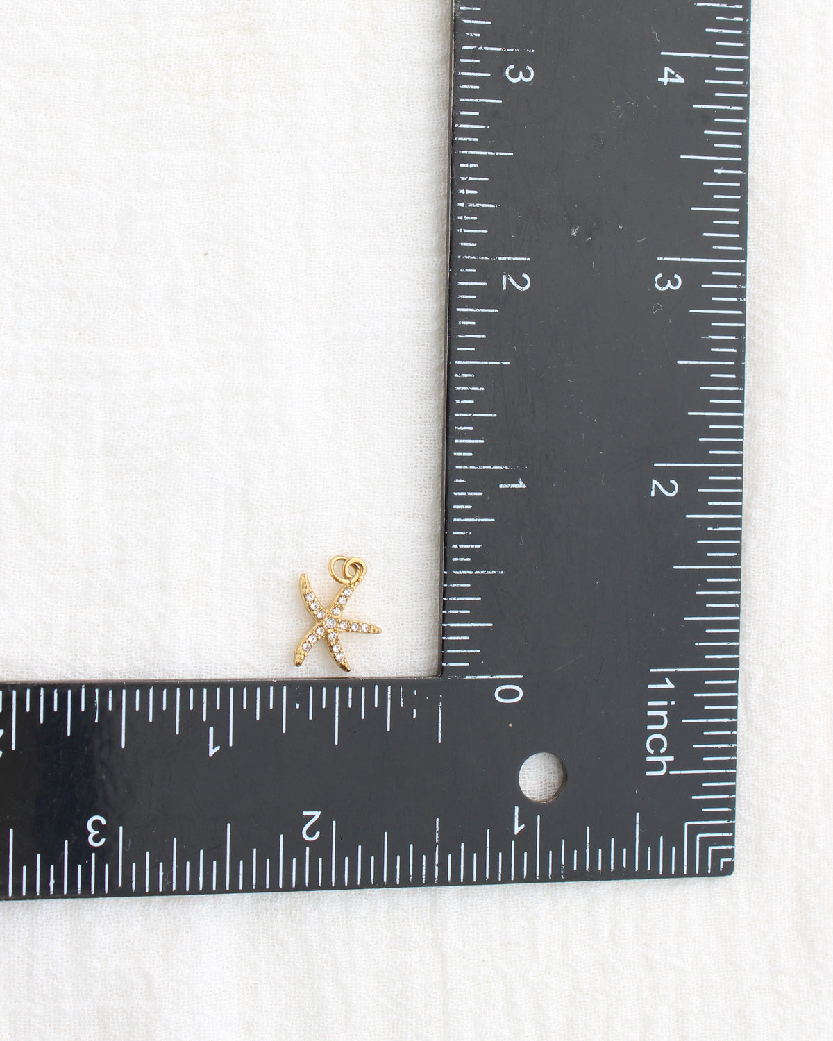 15mm Starfish CZ PVD Charm, CH455
