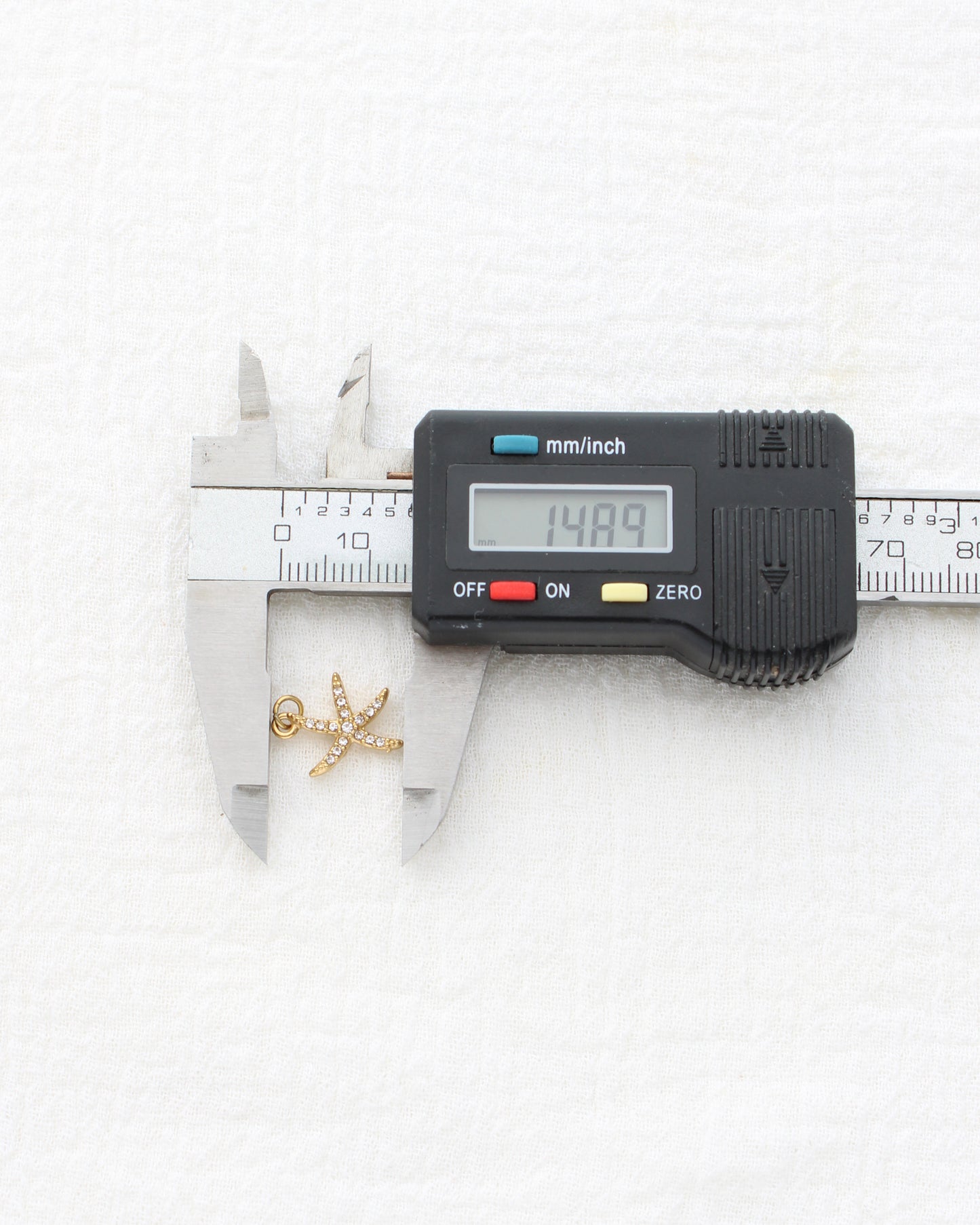 15mm Starfish CZ PVD Charm, CH455