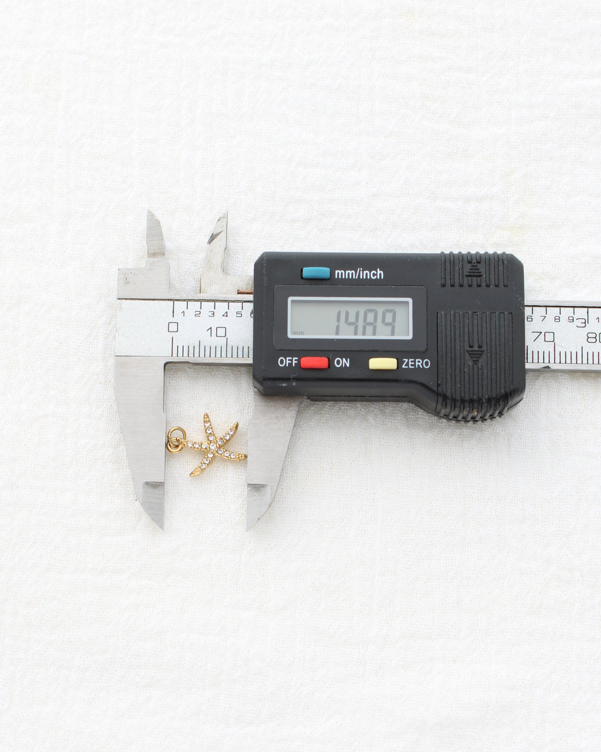 15mm Starfish CZ PVD Charm, CH455