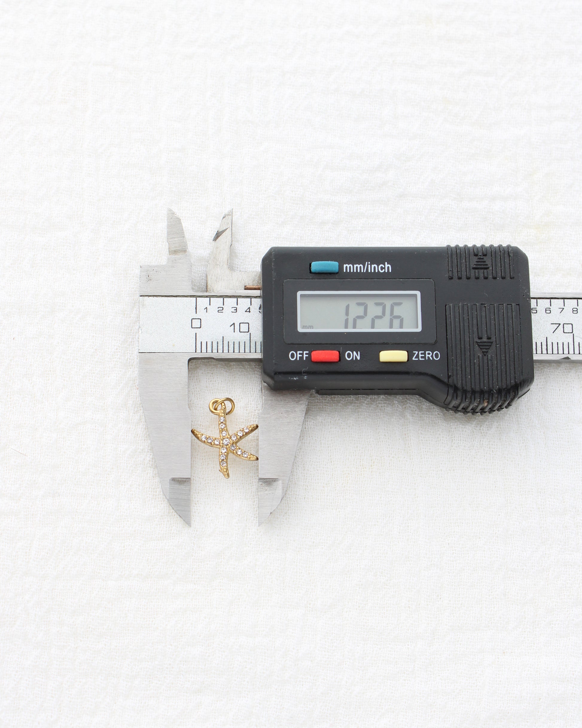 15mm Starfish CZ PVD Charm, CH455