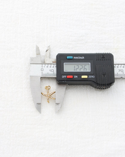15mm Starfish CZ PVD Charm, CH455