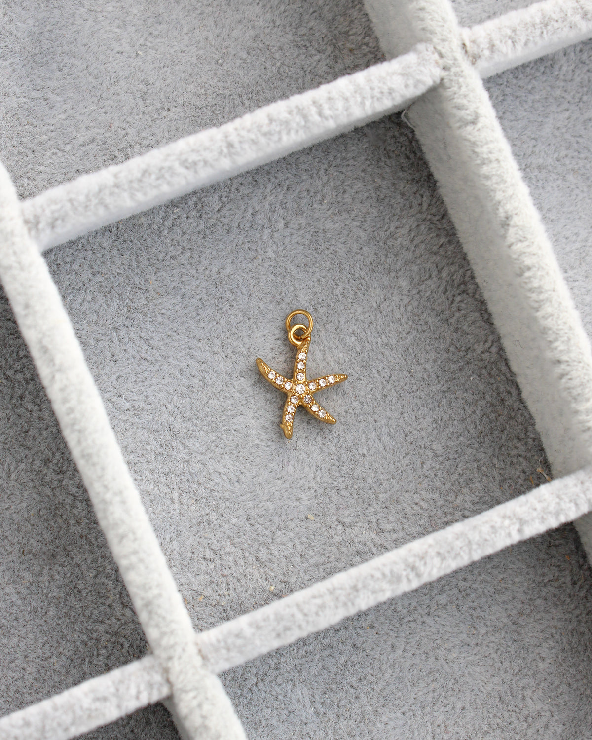 15mm Starfish CZ PVD Charm, CH455