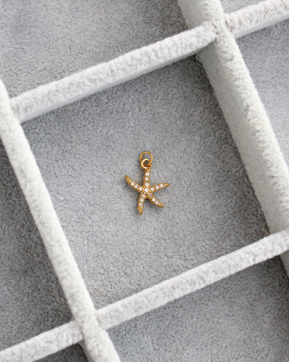 15mm Starfish CZ PVD Charm, CH455