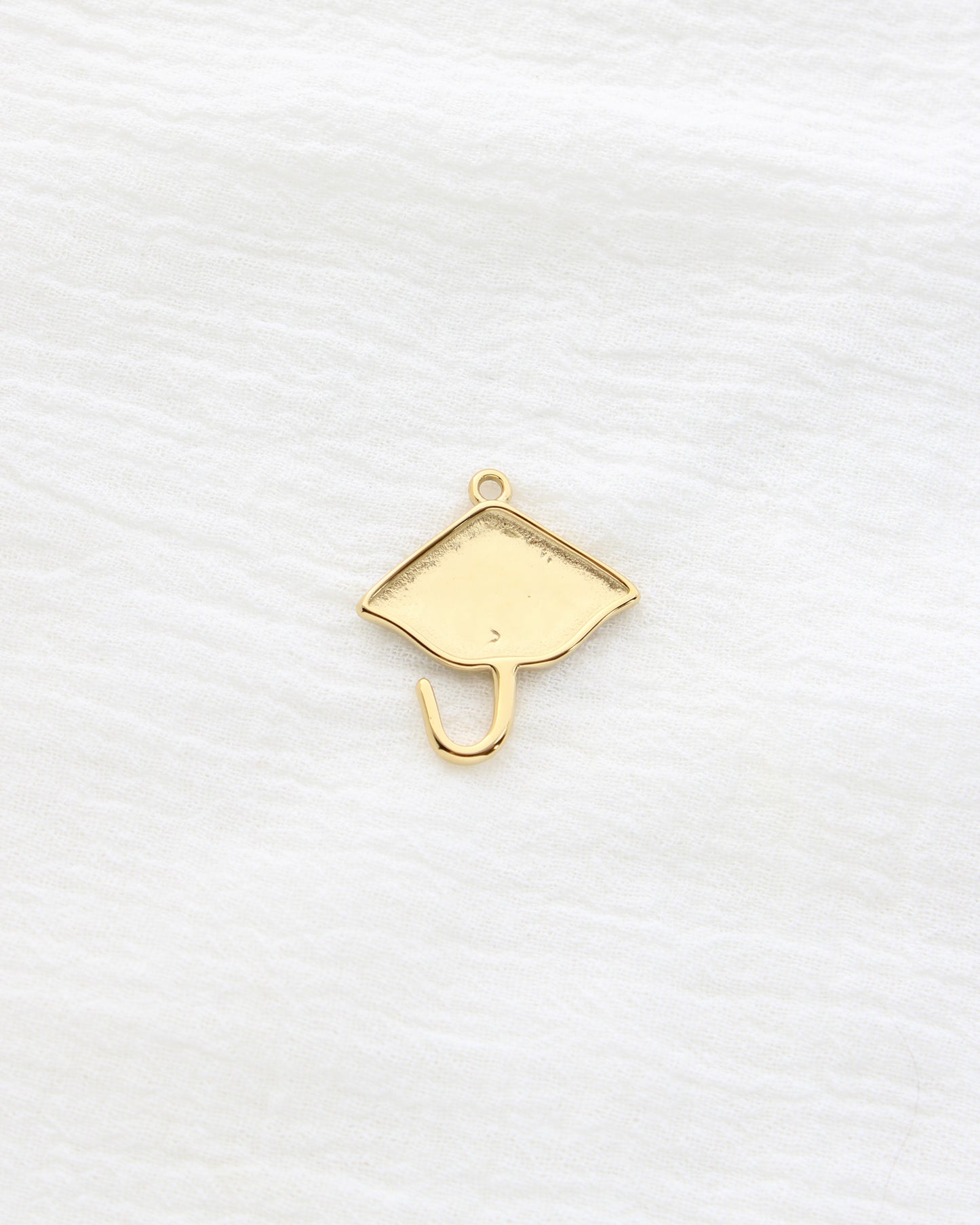 29mm Manta Ray PVD Charm, CH452