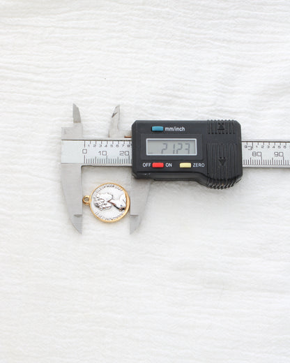 21mm Two Tone Vintage Coin PVD Charm, CH459