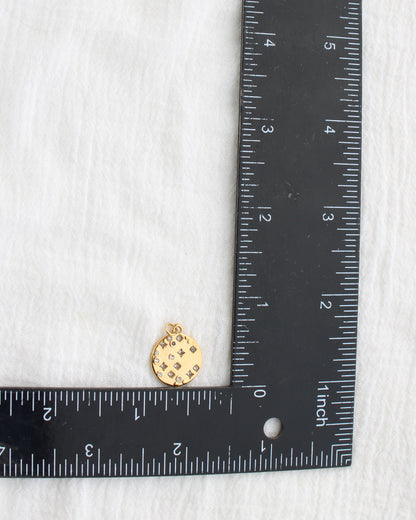 18mm Disc with Zircon PVD Charm, CH460