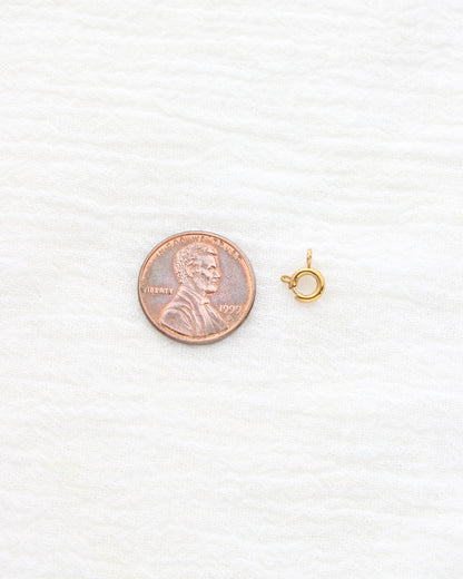 7mm Spring Clasp, F27 (Pack of 5)