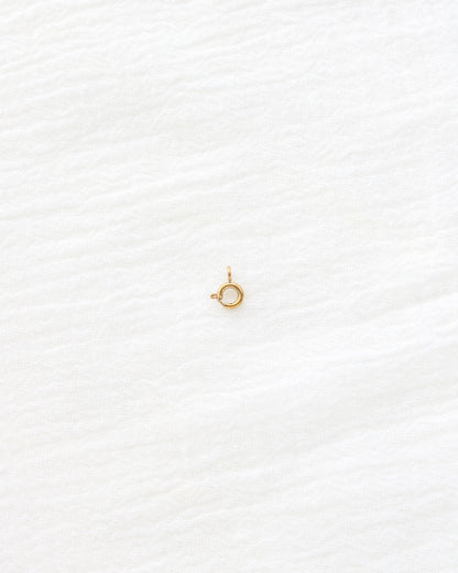 6mm Spring Clasp, F28 (Pack of 5)
