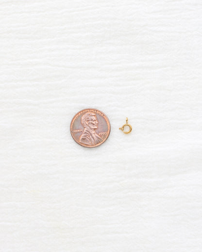 6mm Spring Clasp, F28 (Pack of 5)