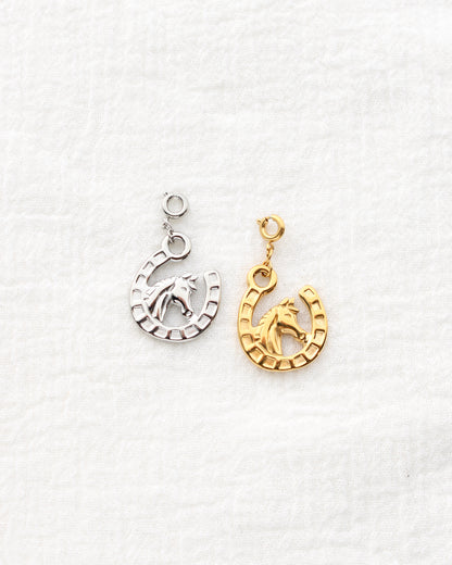 25mm Horseshoe PVD Charm, CH456