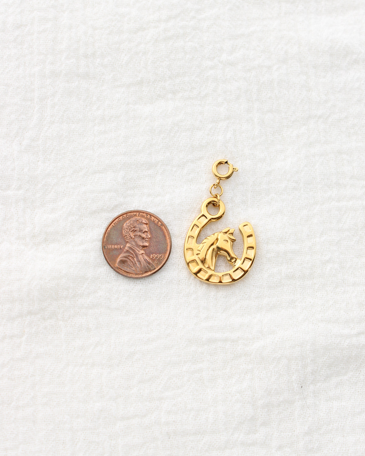 25mm Horseshoe PVD Charm, CH456