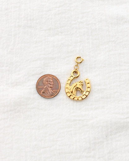 25mm Horseshoe PVD Charm, CH456