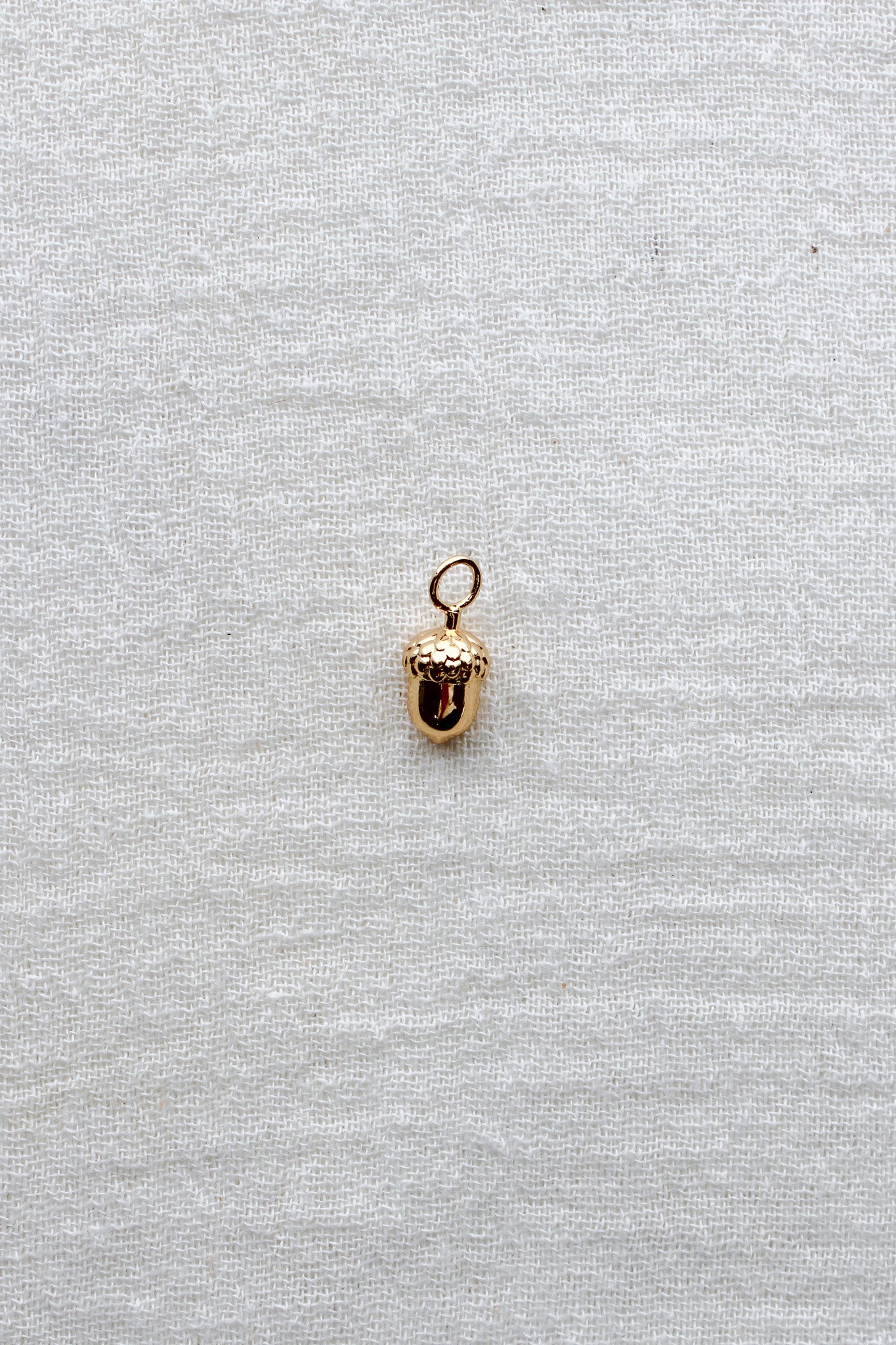 Acorn Charm, CH296