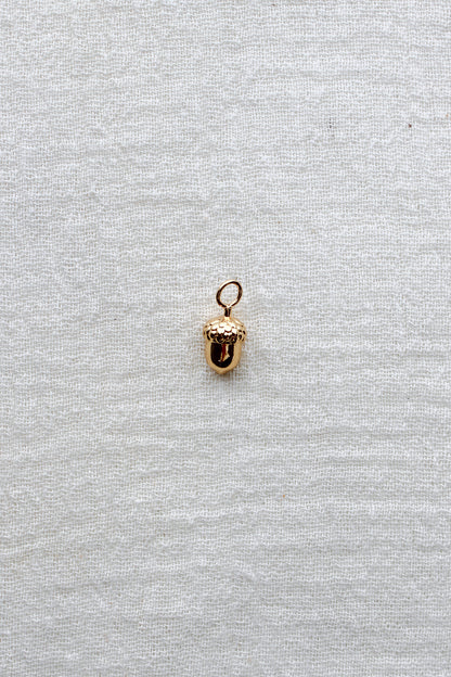 Acorn Charm, CH296