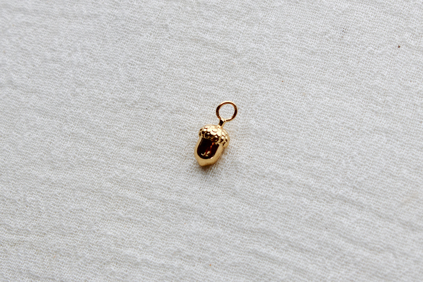 Acorn Charm, CH296