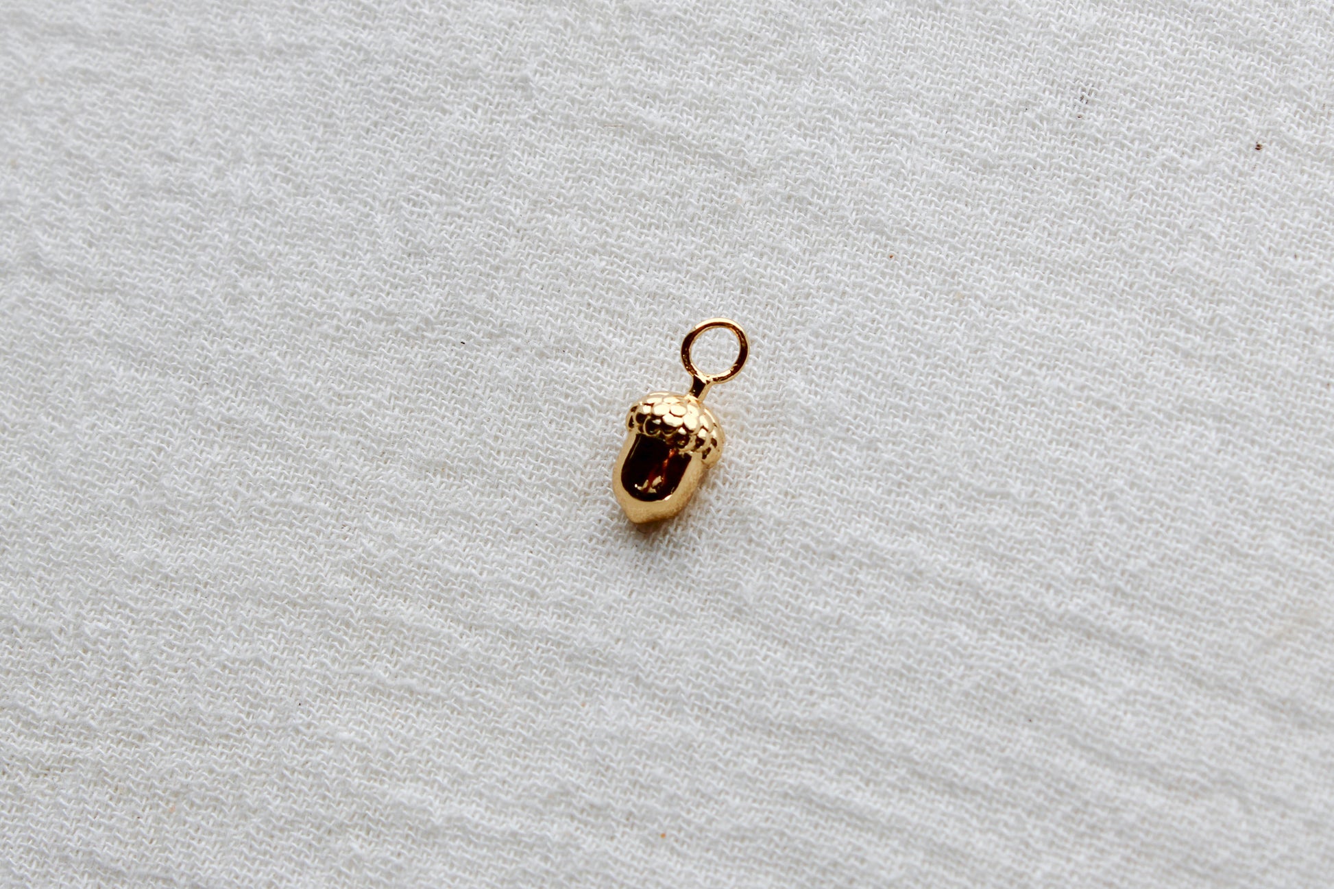 Acorn Charm, CH296