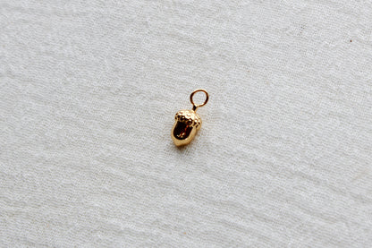Acorn Charm, CH296