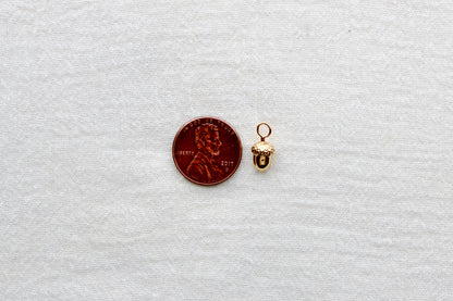 Acorn Charm, CH296