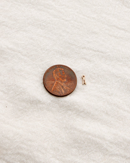 Letter Charm, 14k gold filled, CH318