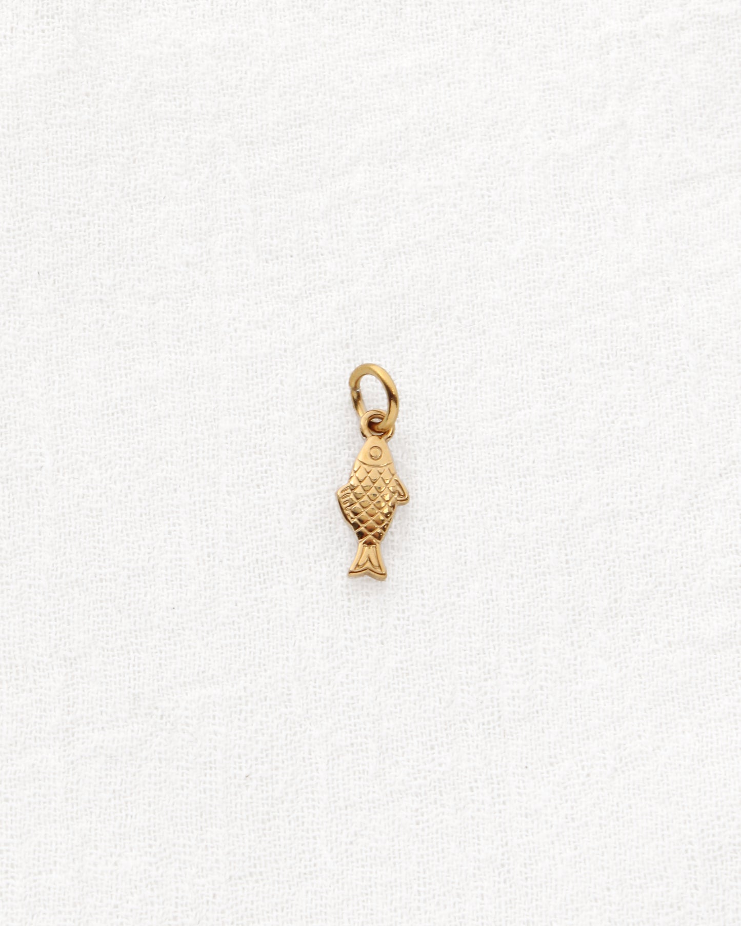 Fish CZ PVD Charm, CH336