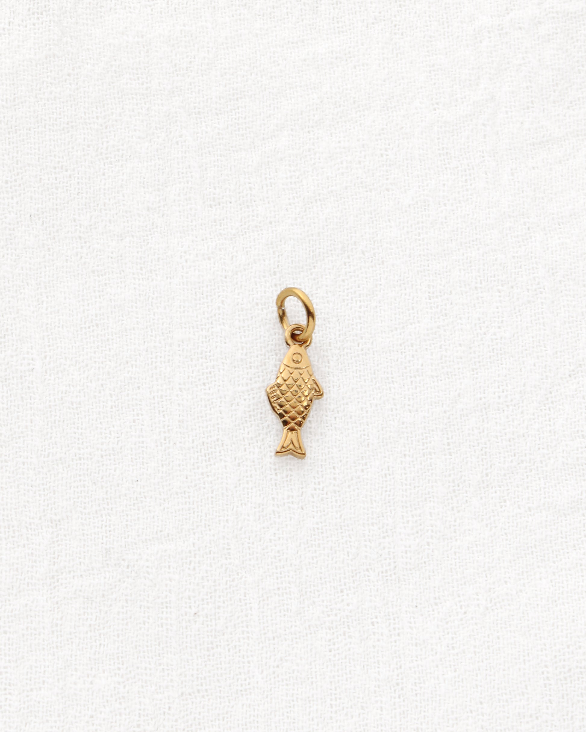 Fish CZ PVD Charm, CH336