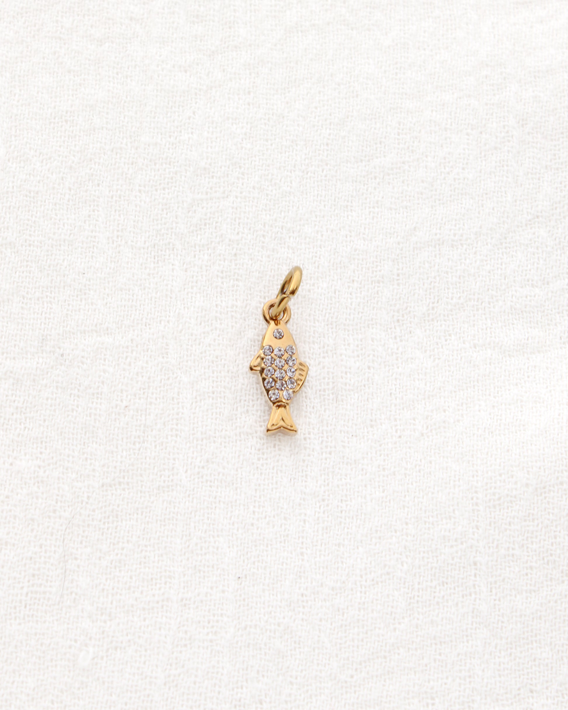 Fish CZ PVD Charm, CH336