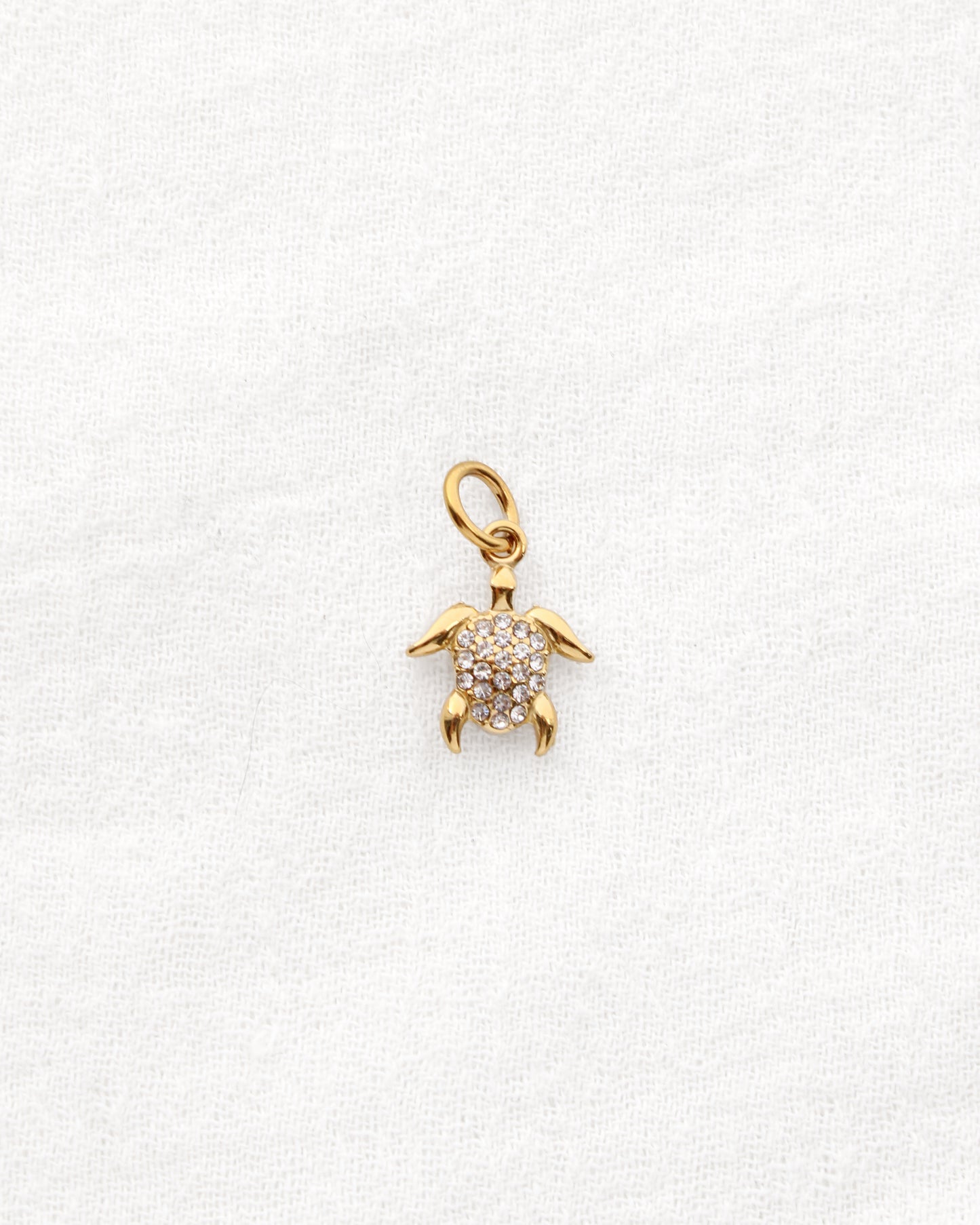Turtle CZ PVD Charm, CH335