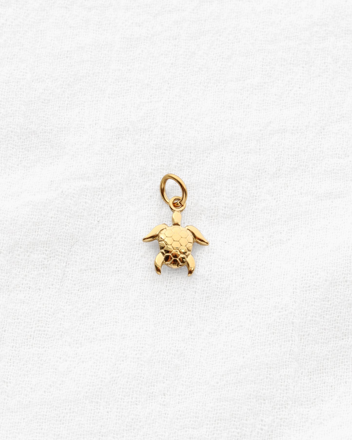 Turtle CZ PVD Charm, CH335