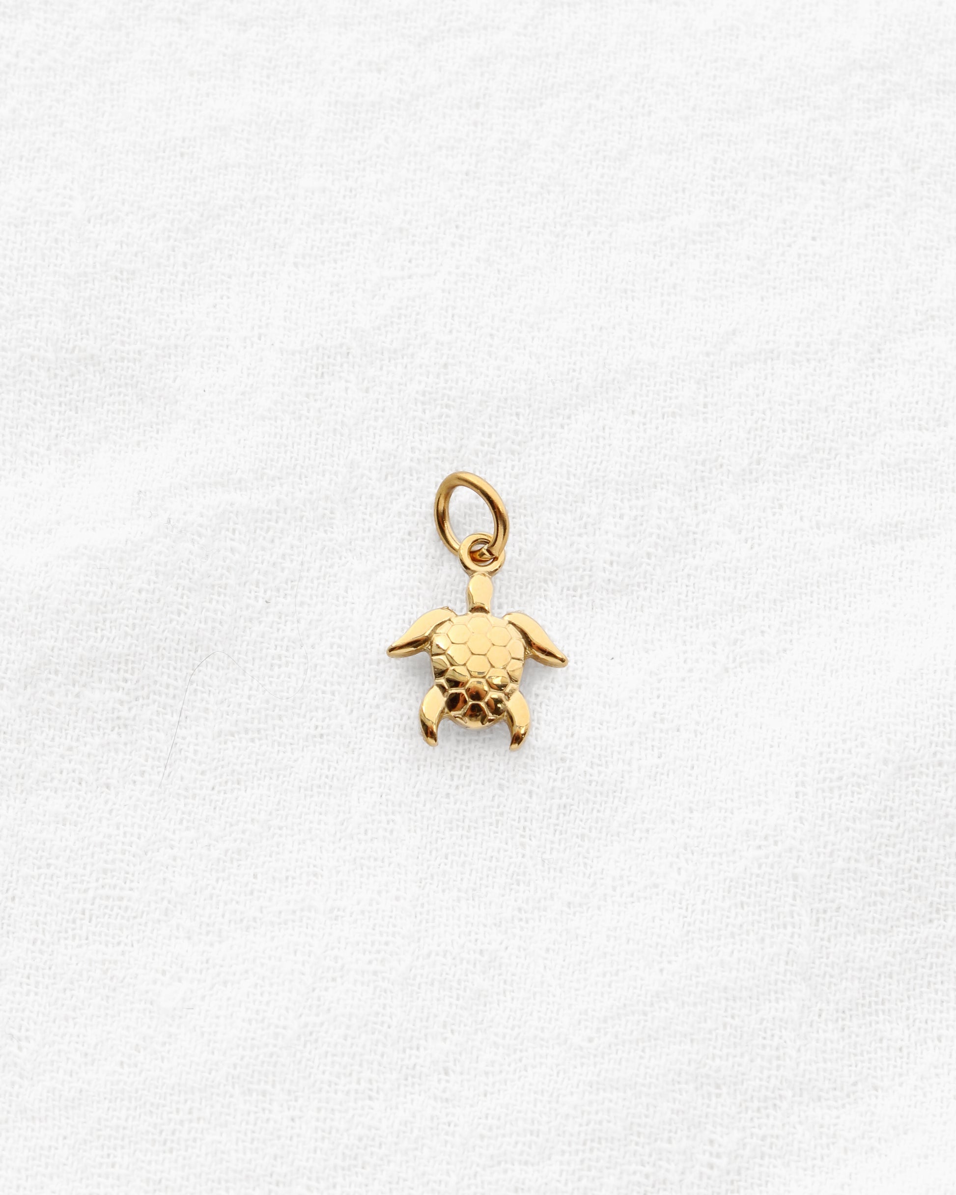 Turtle CZ PVD Charm, CH335
