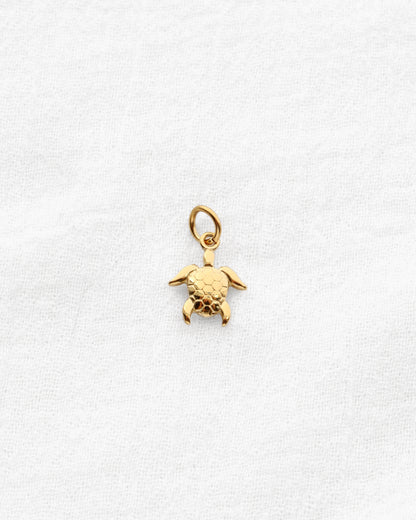 Turtle CZ PVD Charm, CH335