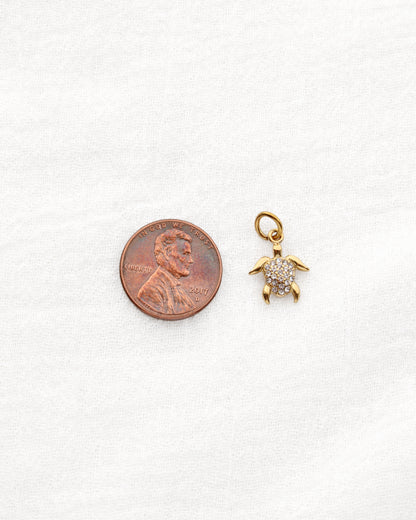 Turtle CZ PVD Charm, CH335