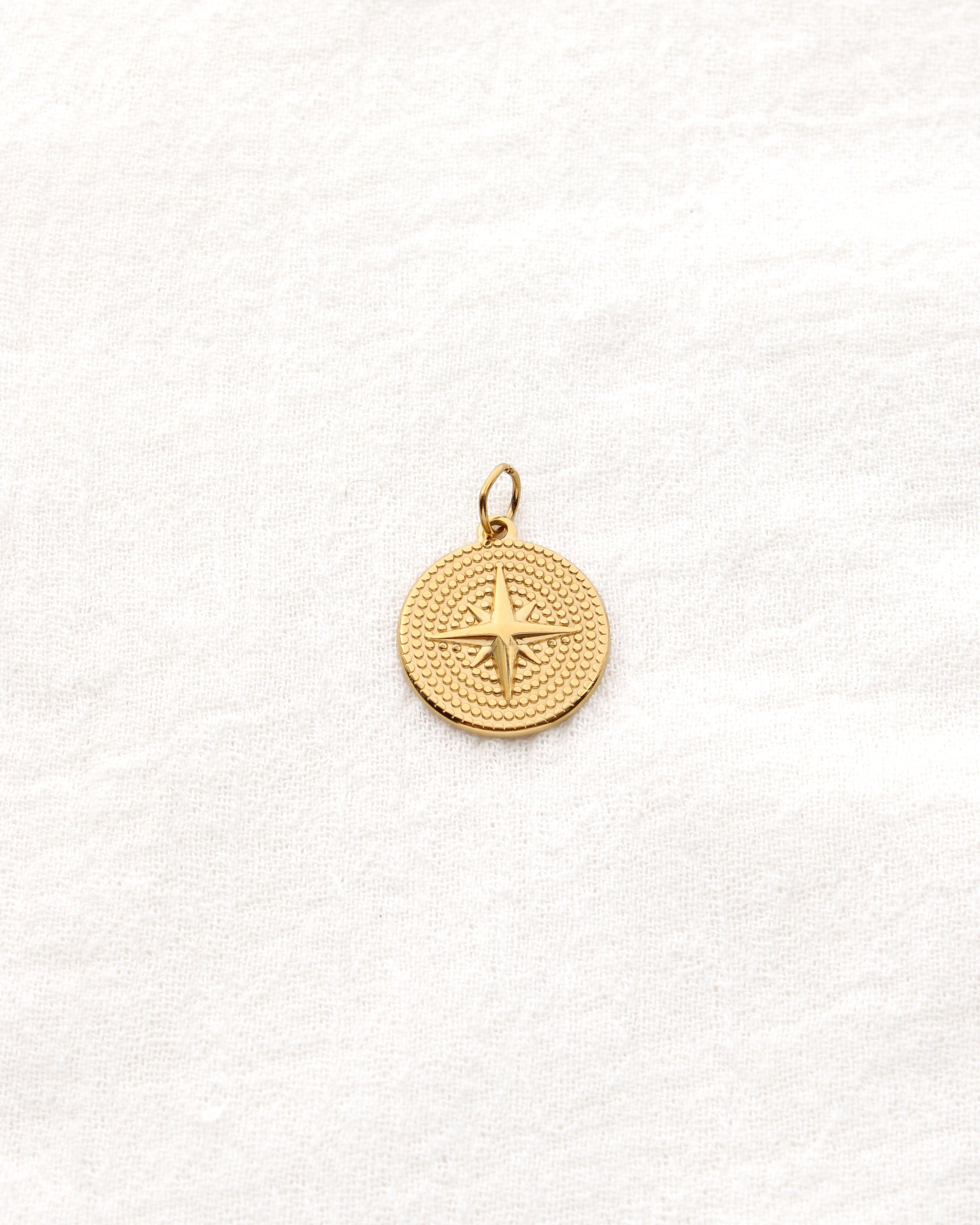 Star Disc PVD Charm, CH346