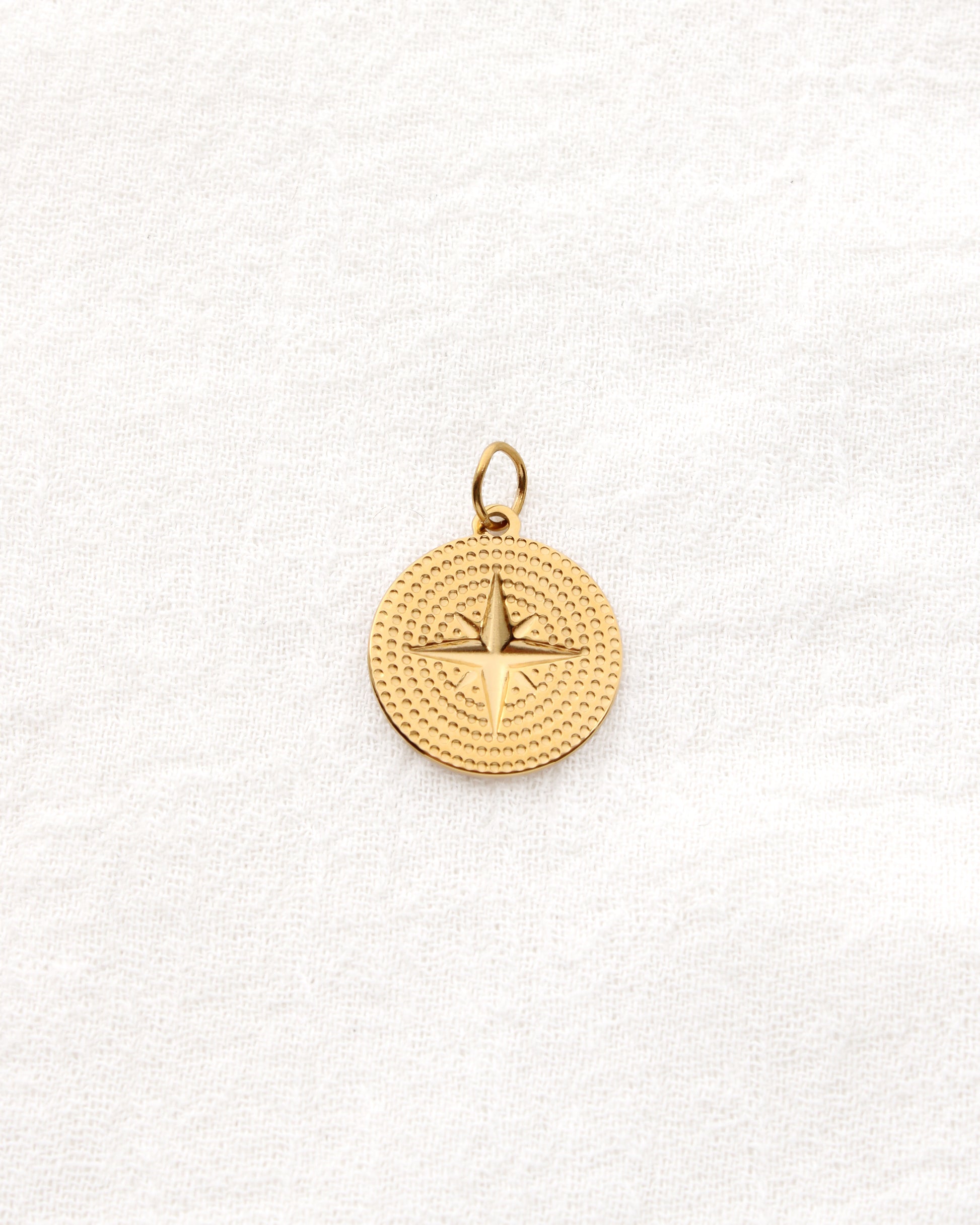 Star Disc PVD Charm, CH346