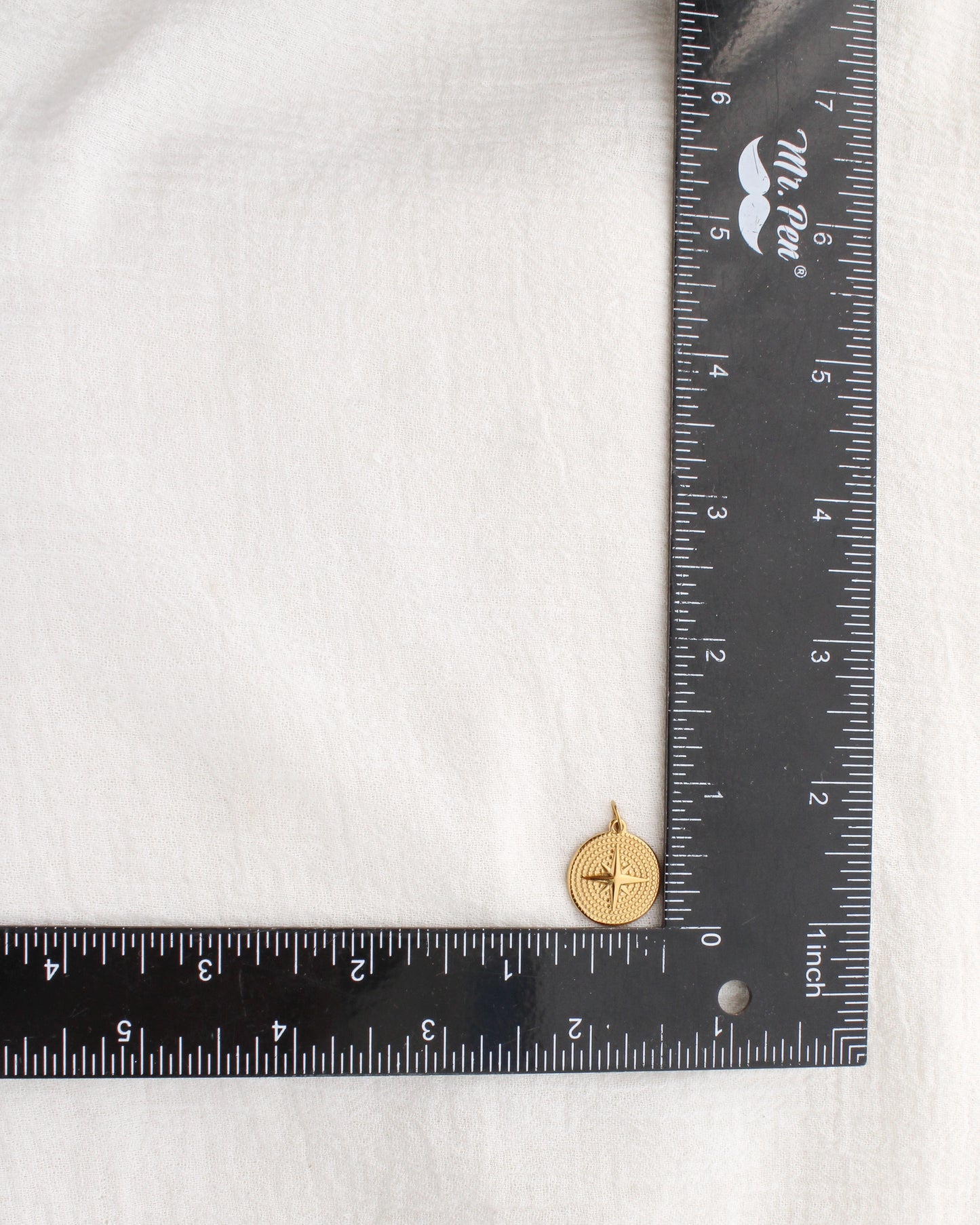 Star Disc PVD Charm, CH346