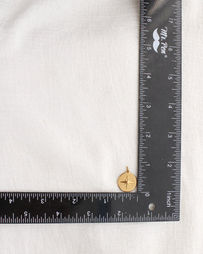 Star Disc PVD Charm, CH346