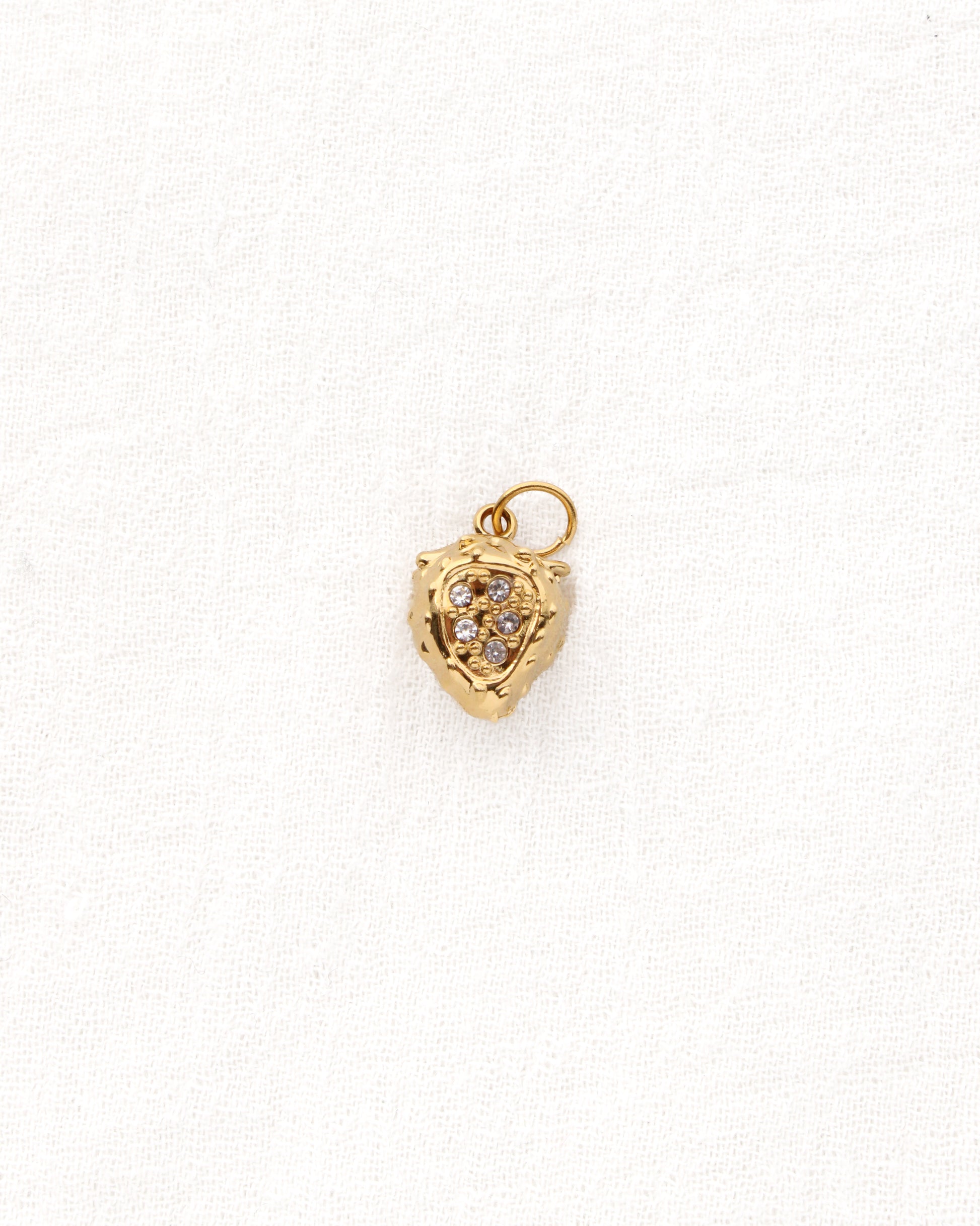 Strawberry PVD Charm with CZ, CH350