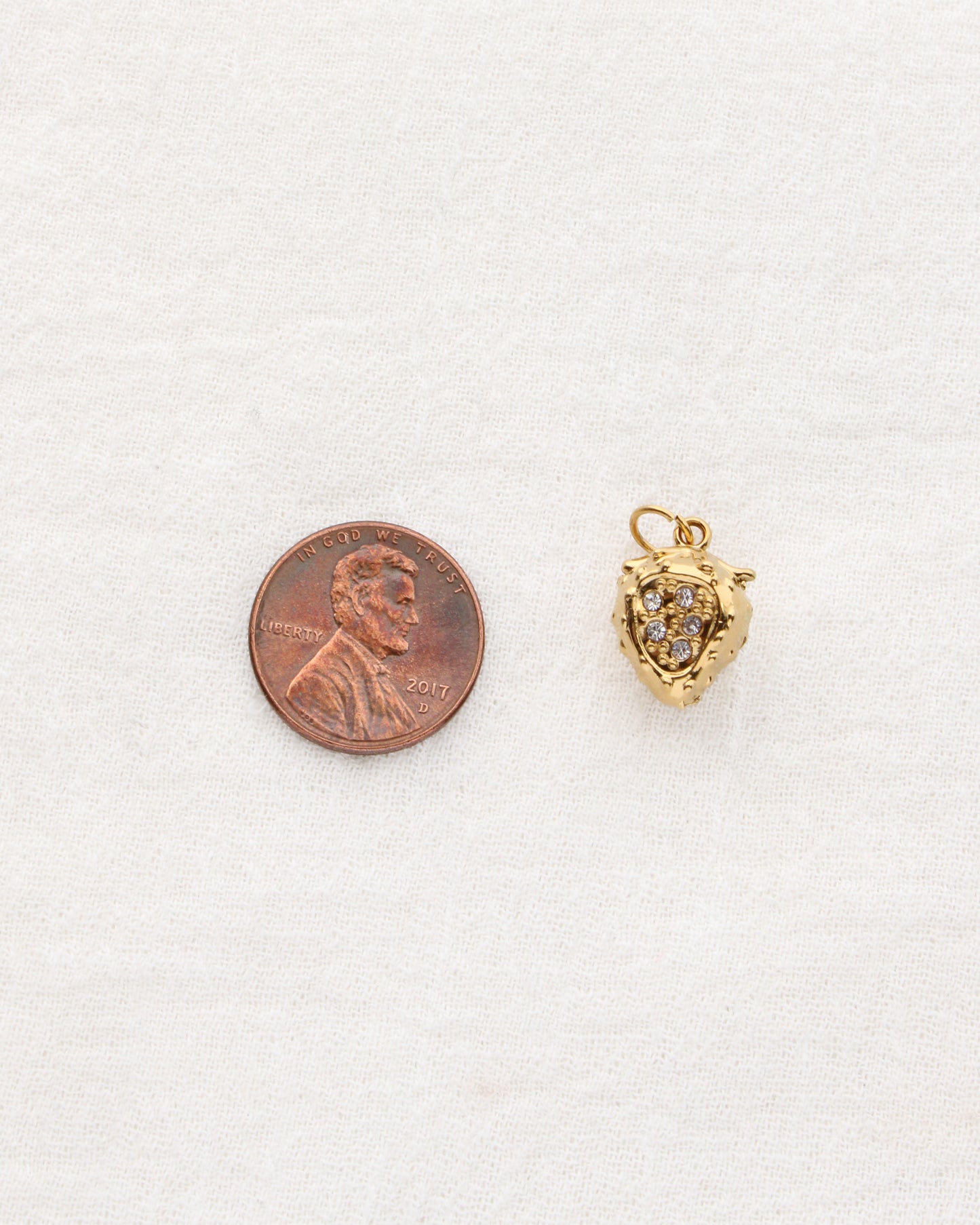 Strawberry PVD Charm with CZ, CH350