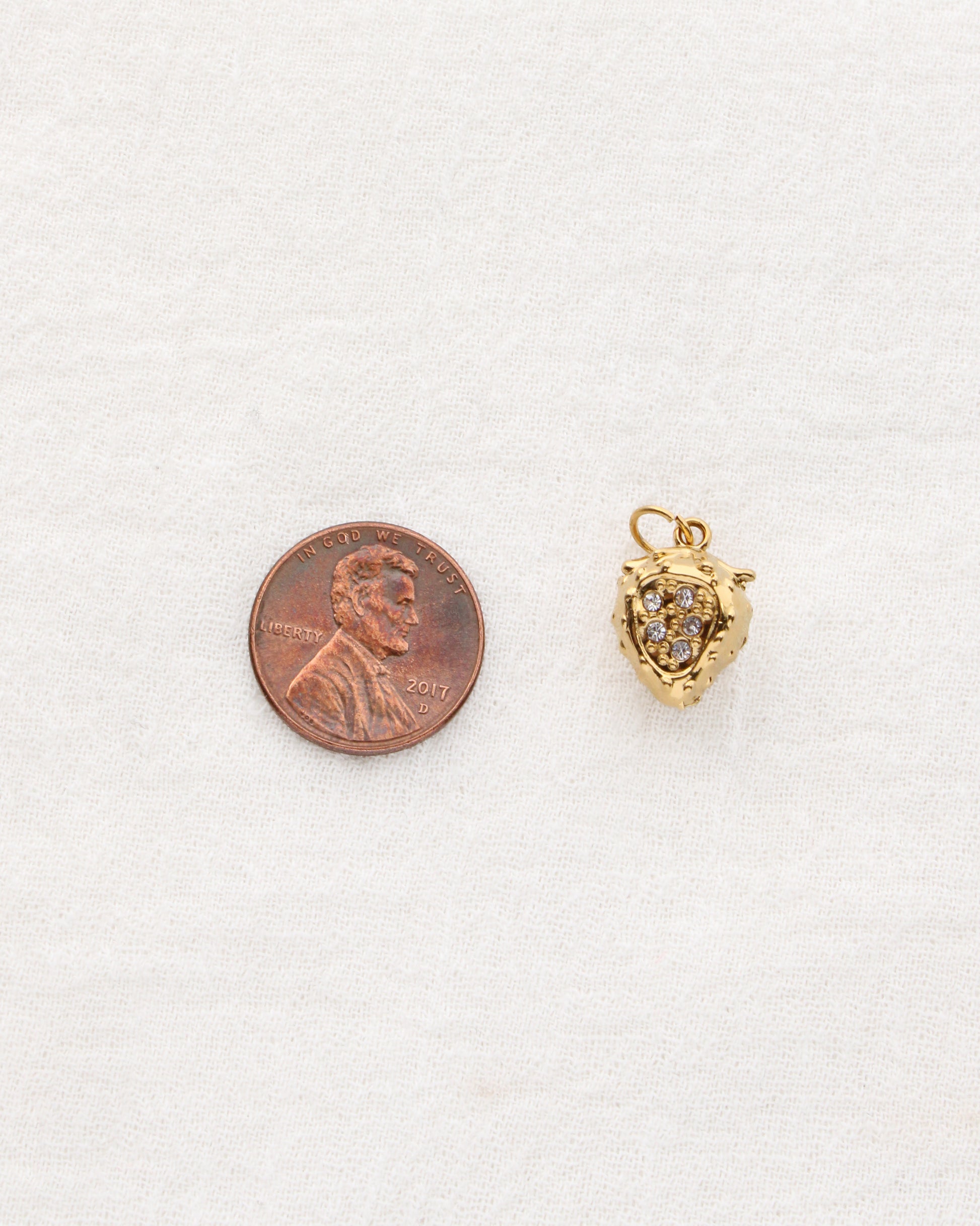 Strawberry PVD Charm with CZ, CH350