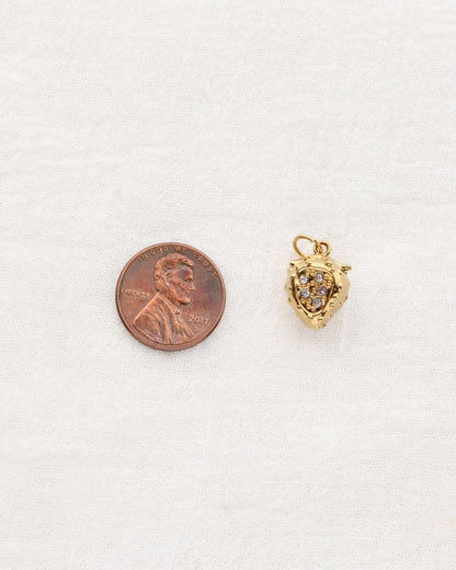 Strawberry PVD Charm with CZ, CH350