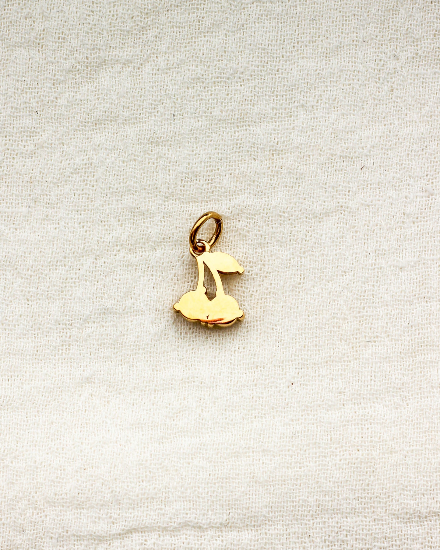 Cubic Zirconia Cherry PVD Charm, CH368