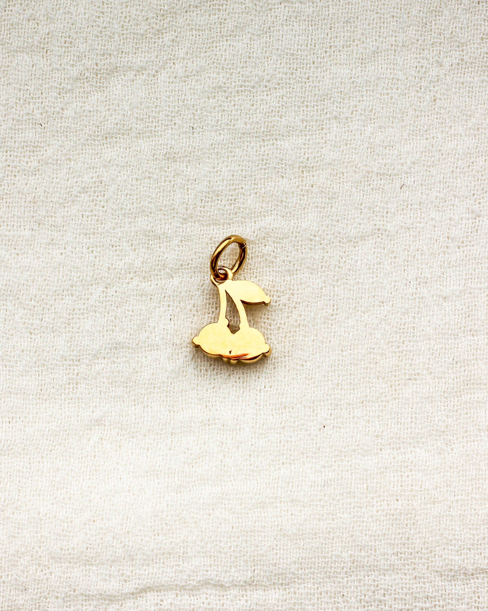 Cubic Zirconia Cherry PVD Charm, CH368