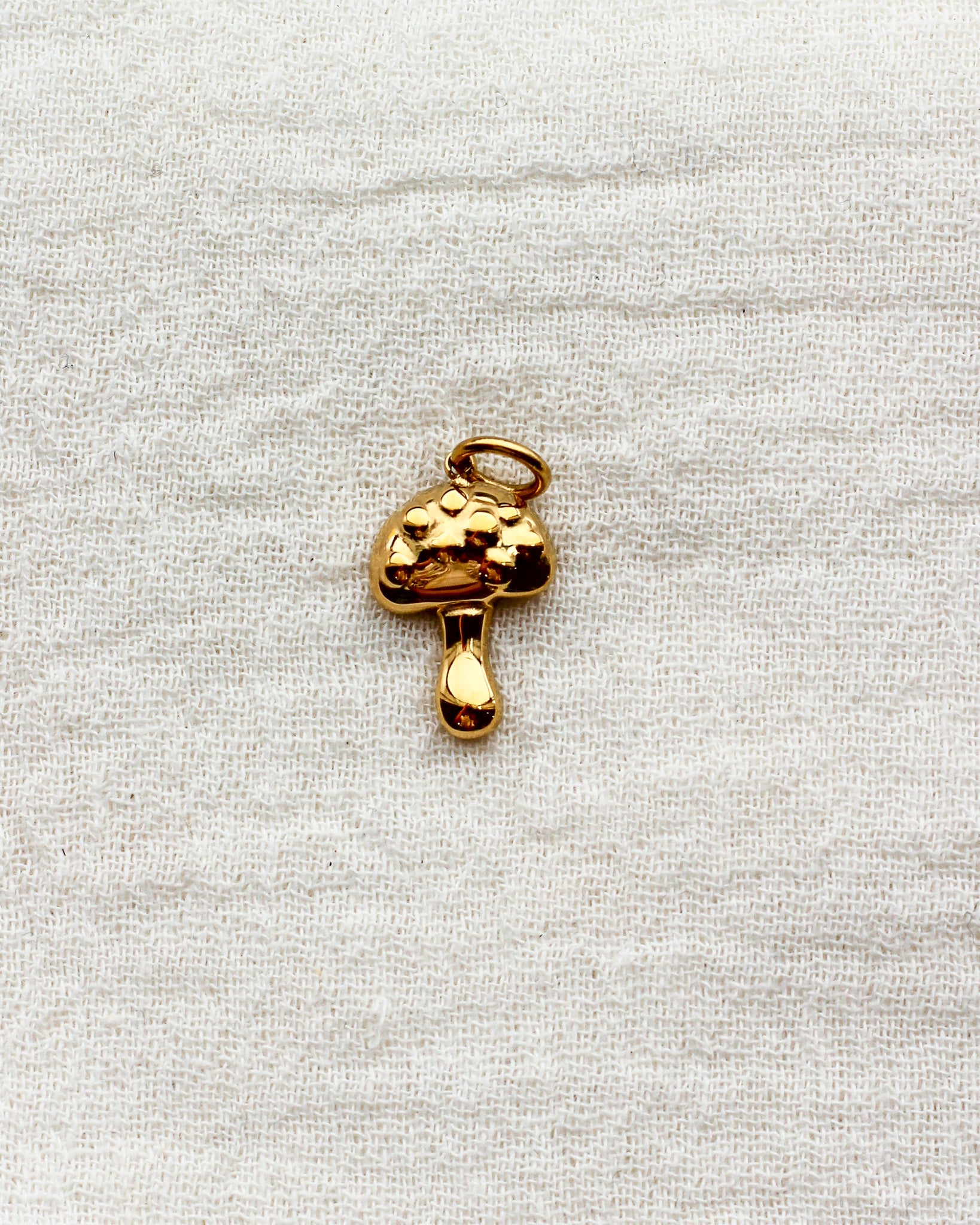 Mushroom PVD Charm, CH365