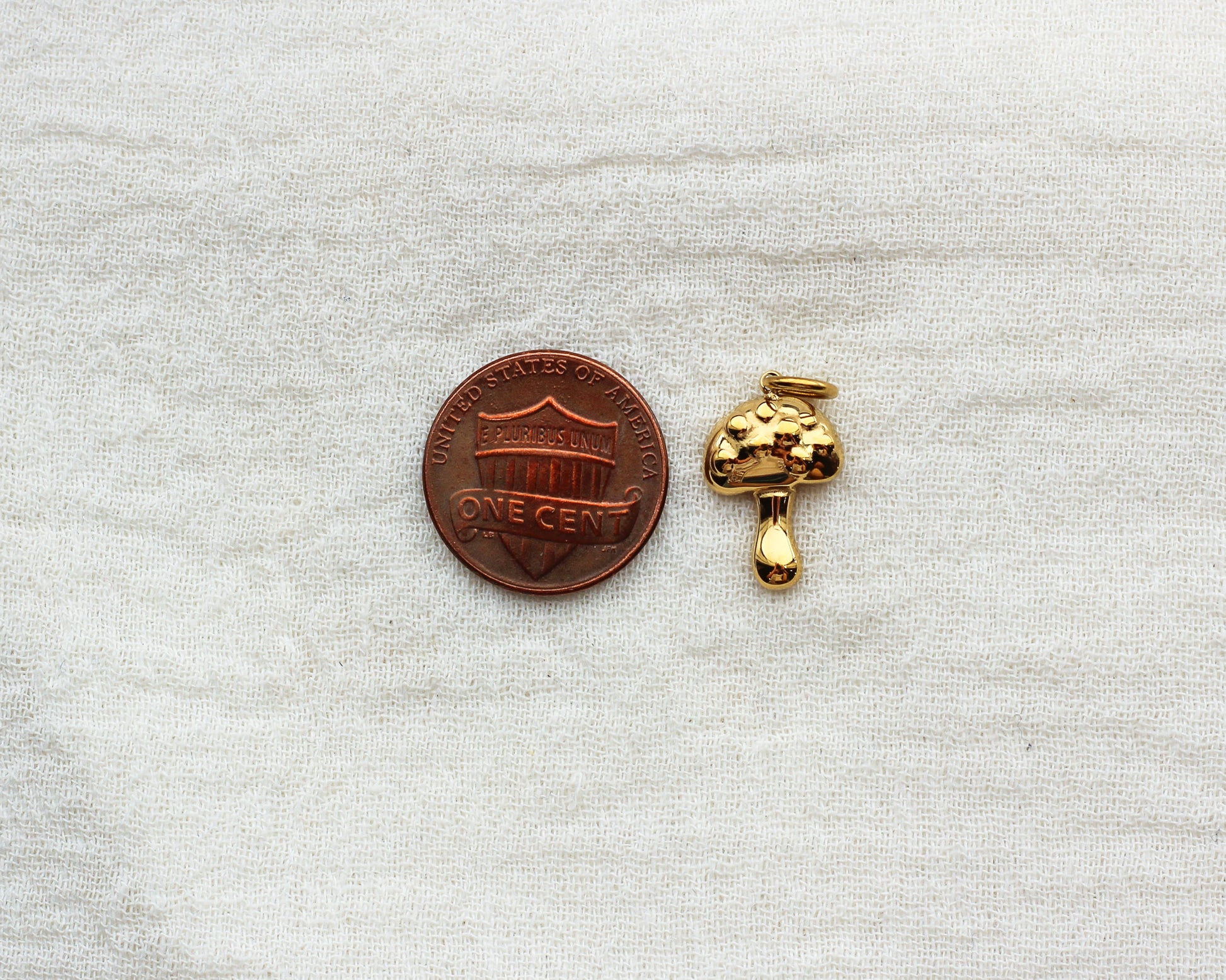 Mushroom PVD Charm, CH365