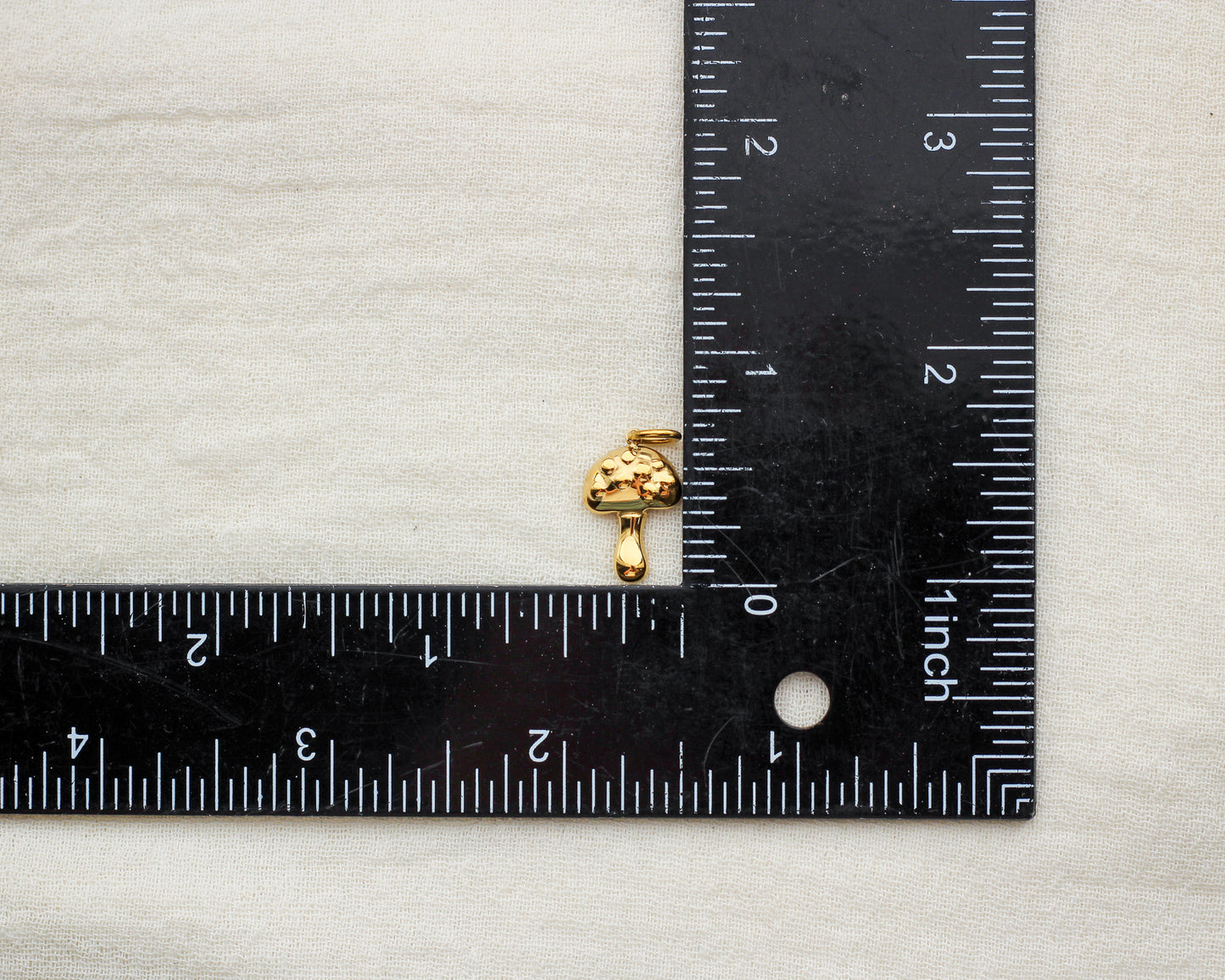Mushroom PVD Charm, CH365